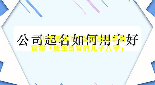 八字怎 🐯 么看出儿子当官命「能生当官的儿子八字」